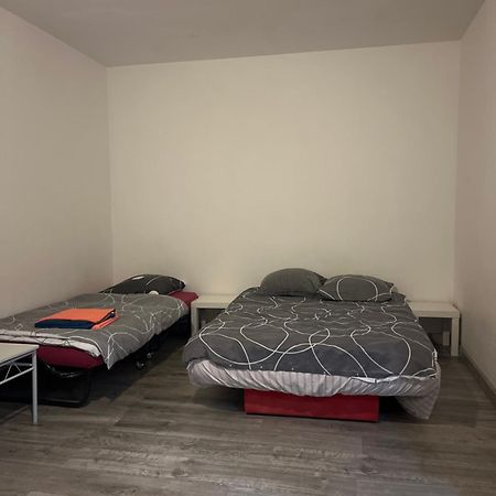 Logement Type Studio 1 Piece Proche Zenith 스트라스부르 외부 사진