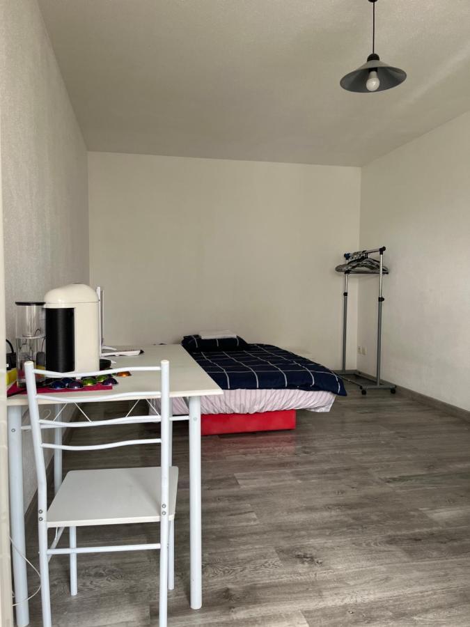 Logement Type Studio 1 Piece Proche Zenith 스트라스부르 외부 사진